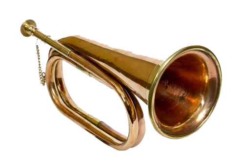 IMAGE : BUGLE
