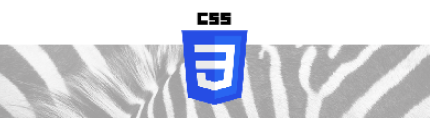 CS BANNER